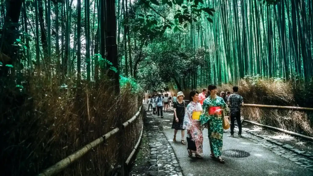 The bamboo stairs and jungle path that leads down to the Banyumala Twin Waterfalls