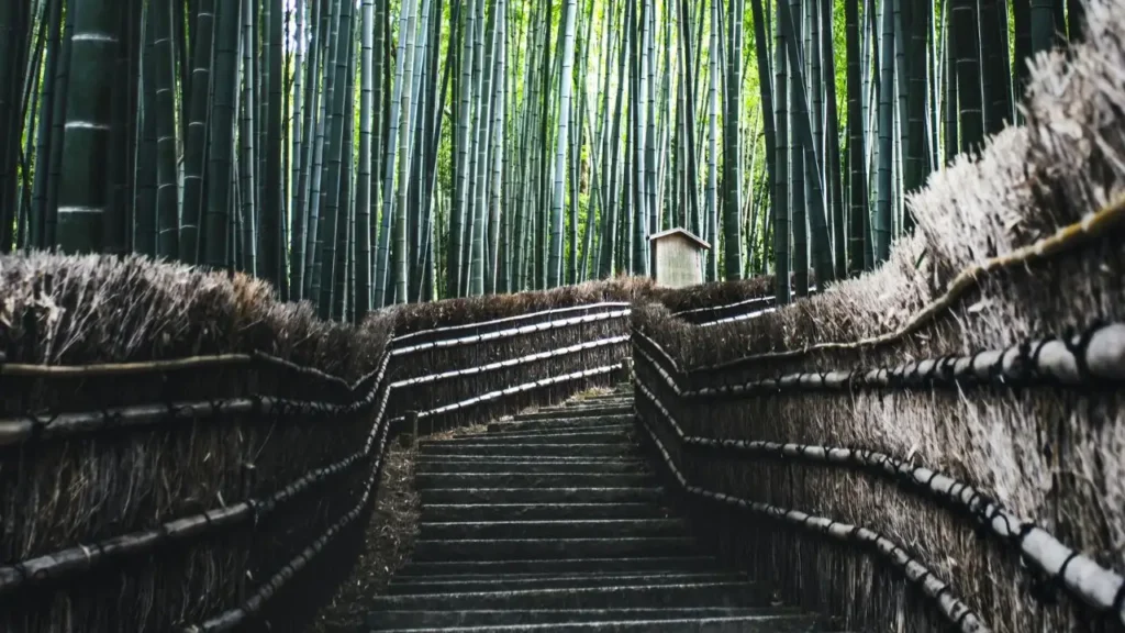 The bamboo stairs and jungle path that leads down to the Banyumala Twin Waterfalls