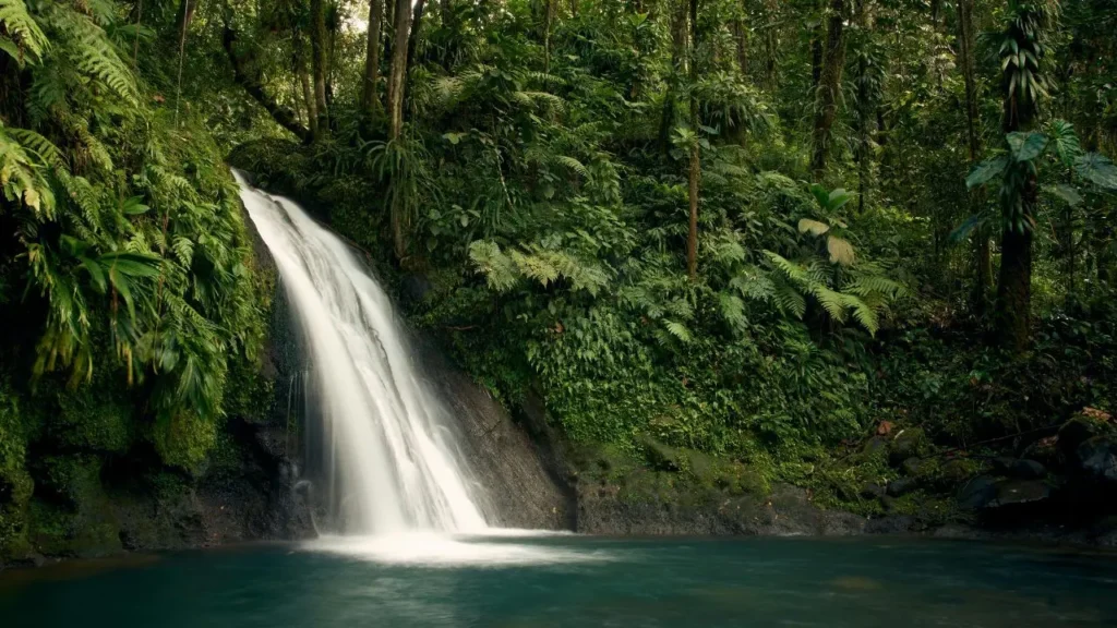 A tall white waterfall surrounded by green jungle plants in Bali