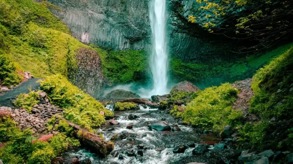 A tall white waterfall surrounded by green jungle plants in Bali