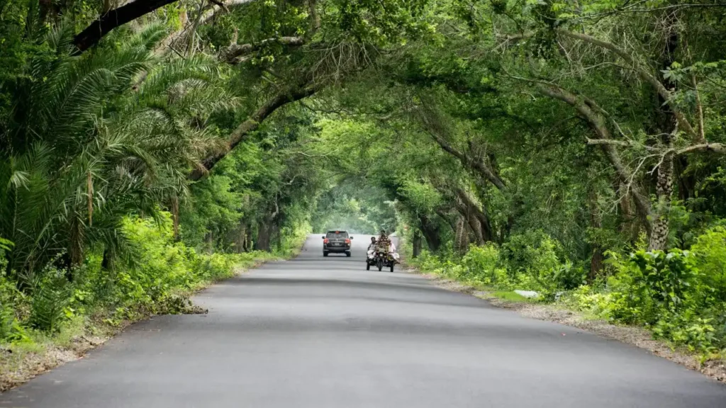 A beautiful winding road with cars driving through fog-covered Khasi Hills towards Cherrapunji, on the way to Seven Sisters Waterfall