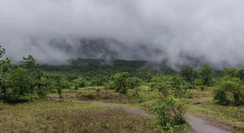 the green Andharban forest trail near Mulshi