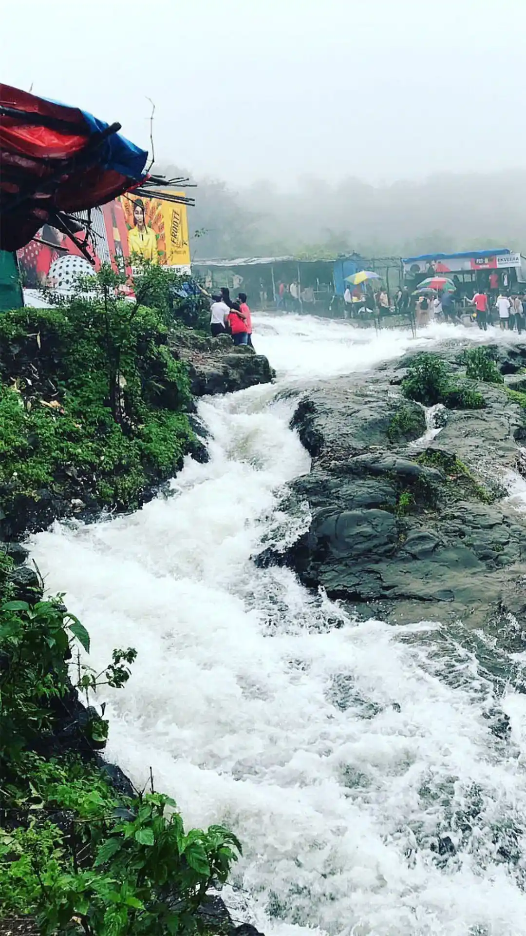 Bhushi Dam Lonavala (2026) – The Ultimate Guide to Your Rainy Adventure