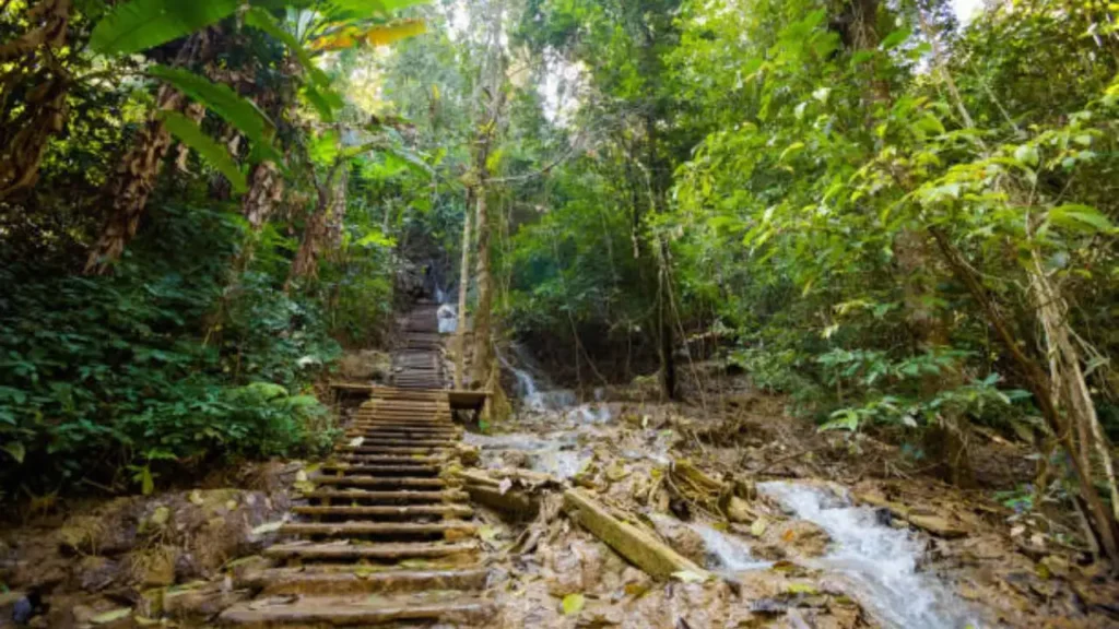 People hiking the jungle path to the top of Kuang Si Waterfall