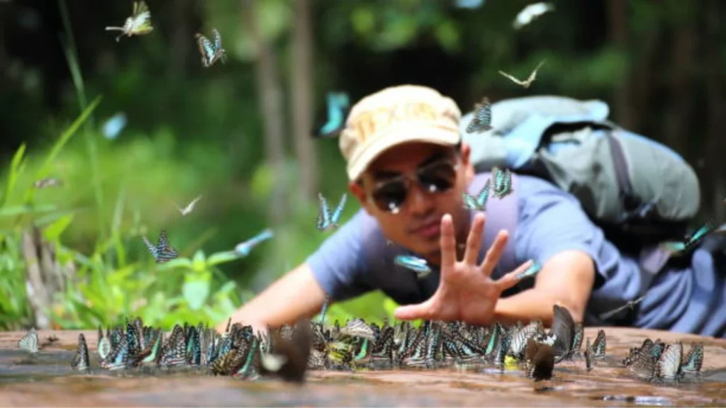 Brightly colored butterflies at the Kuang Si Butterfly Park