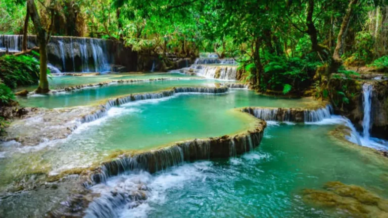 Beautiful milky blue water of Kuang Si Waterfall in Luang Prabang Laos