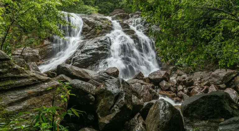 A peaceful view of Lakkam waterfalls in Kochi area with a clear natural pool.