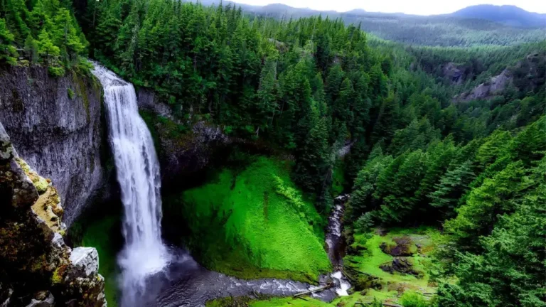 A tall white waterfall surrounded by green jungle plants in Bali