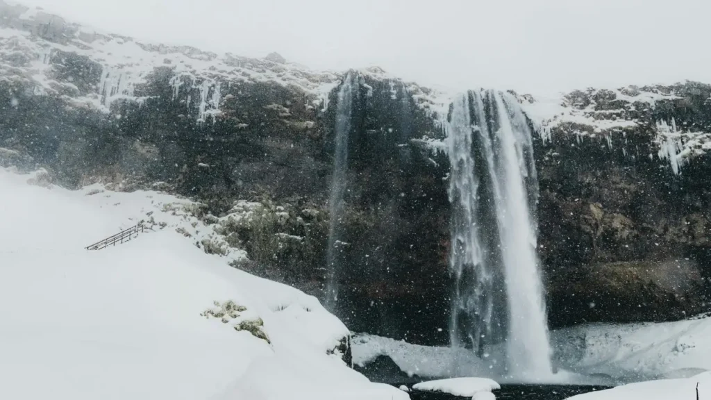 A stunning winter view of Seljalandsfoss waterfall covered in snow and large icicles.