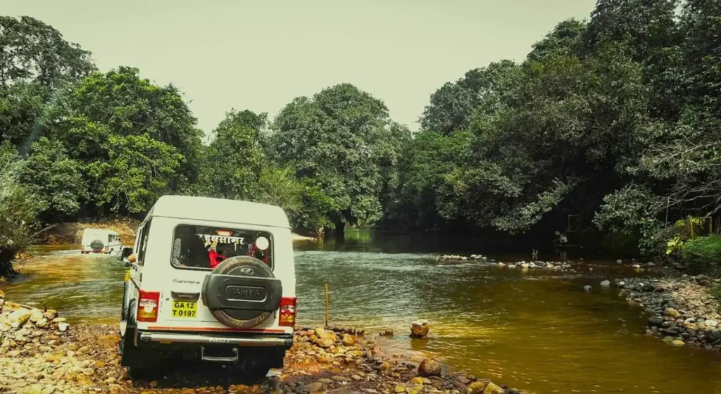Tourists enjoying a bumpy jungle jeep safari ride to reach Dudhsagar Waterfall